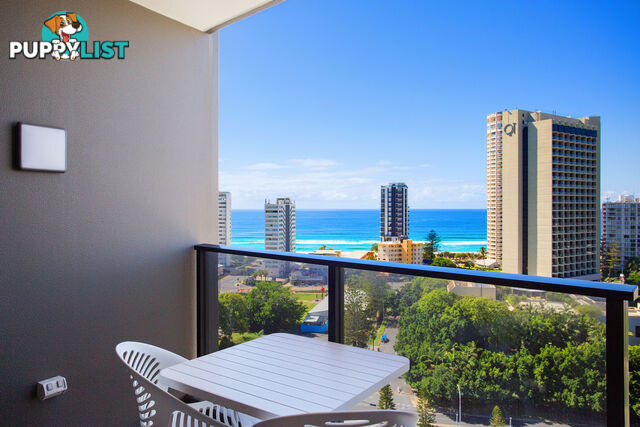 1508/9 Norfolk Avenue SURFERS PARADISE QLD 4217