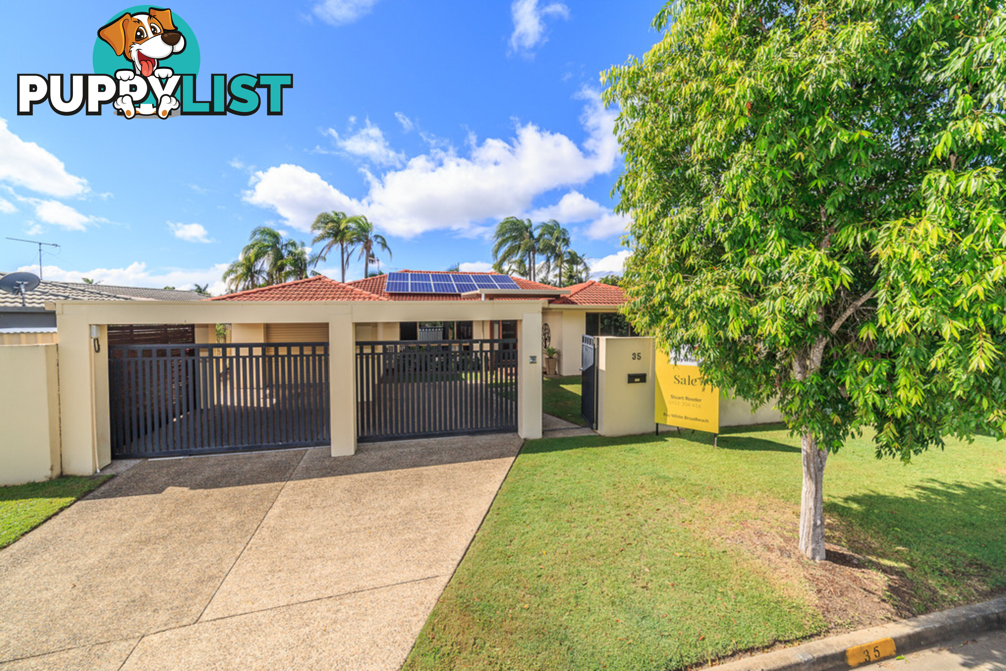 35 Forster Avenue SORRENTO QLD 4217