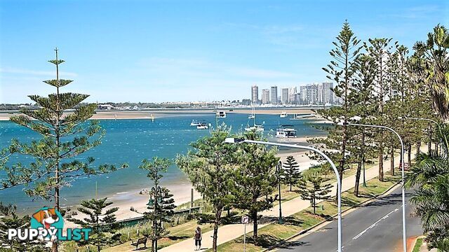 9/418 Marine Parade BIGGERA WATERS QLD 4216