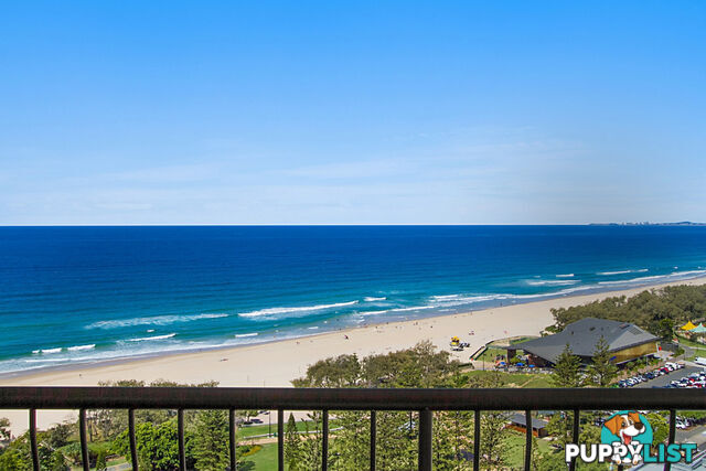 20E 'Beach Haven' 1 Albert Avenue BROADBEACH QLD 4218