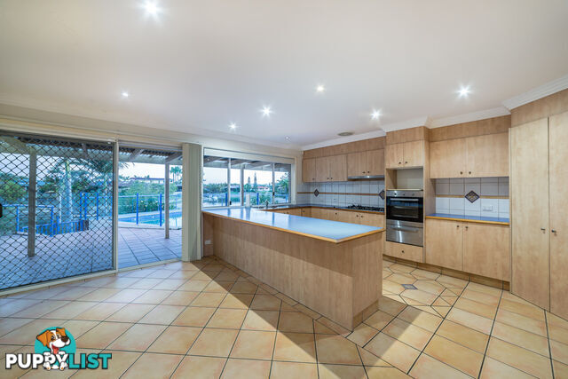 3 Chale Court BUNDALL QLD 4217