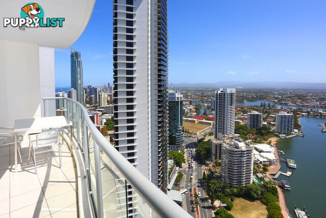 3341/23 'Chevron Renaissance' Ferny Ave SURFERS PARADISE QLD 4217