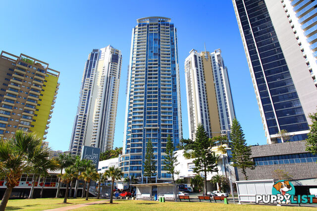 3341/23 'Chevron Renaissance' Ferny Ave SURFERS PARADISE QLD 4217