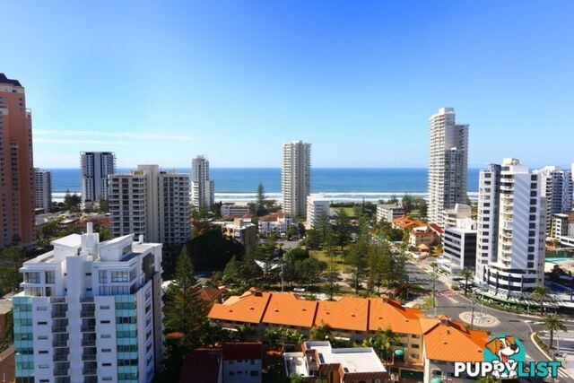 116 'Synergy' 2729-2733 Gold Coast Highway BROADBEACH QLD 4218