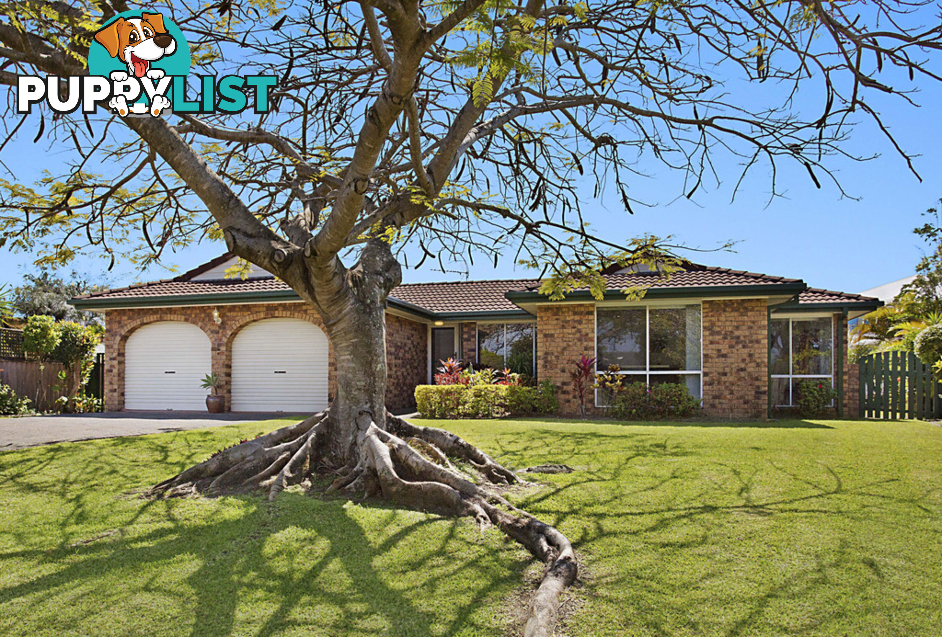 171 Burleigh Street BURLEIGH WATERS QLD 4220