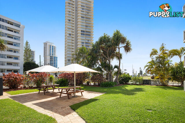 301/2 Queensland Avenue 'Hi Ho' BROADBEACH QLD 4218