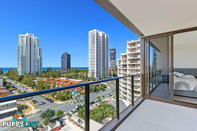 904 Avani 2663 Gold Coast Highway BROADBEACH QLD 4218