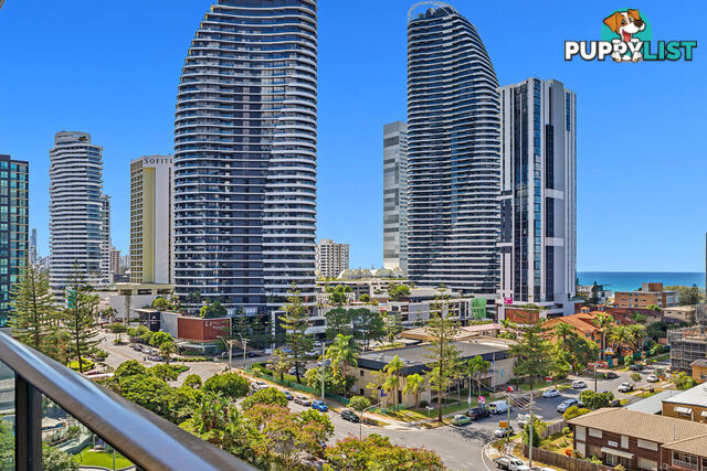 904 Avani 2663 Gold Coast Highway BROADBEACH QLD 4218