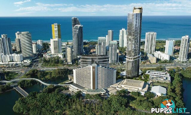 BROADBEACH QLD 4218