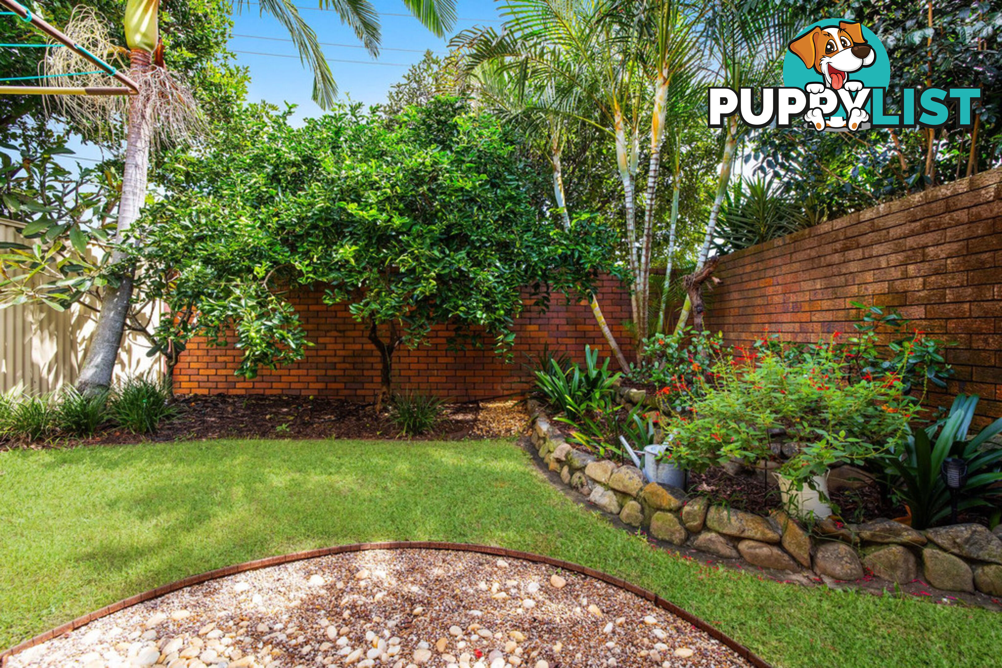 57 Allawah Street BUNDALL QLD 4217