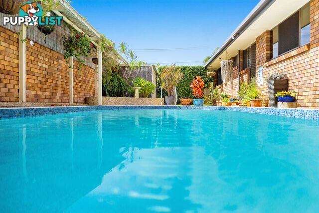57 Allawah Street BUNDALL QLD 4217