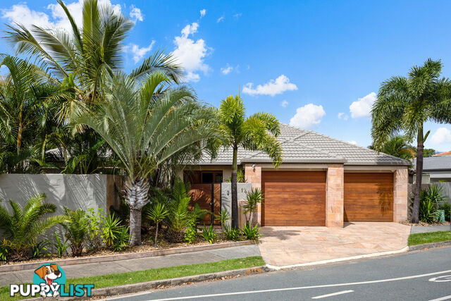 144 Rio Vista Boulevard BROADBEACH WATERS QLD 4218