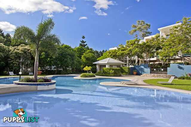 Apt. 4171 'Archer Hill' Royal Pines Resort BENOWA QLD 4217