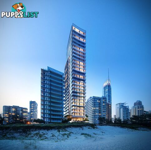 SURFERS PARADISE QLD 4217