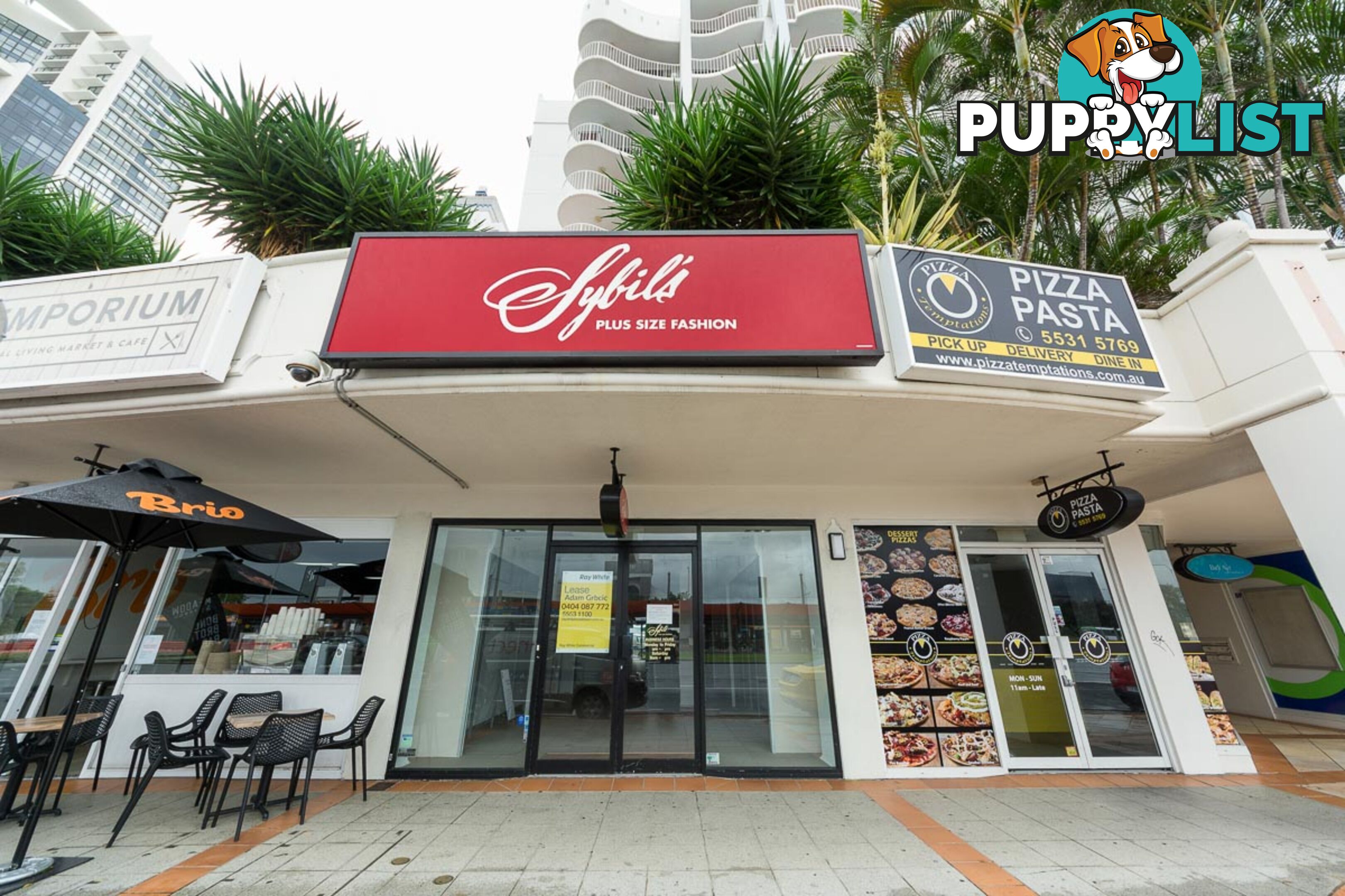 6/2623 Gold Coast Highway BROADBEACH QLD 4218