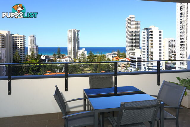 62 'Synergy' 2729-2733 Gold Coast Highway BROADBEACH QLD 4218