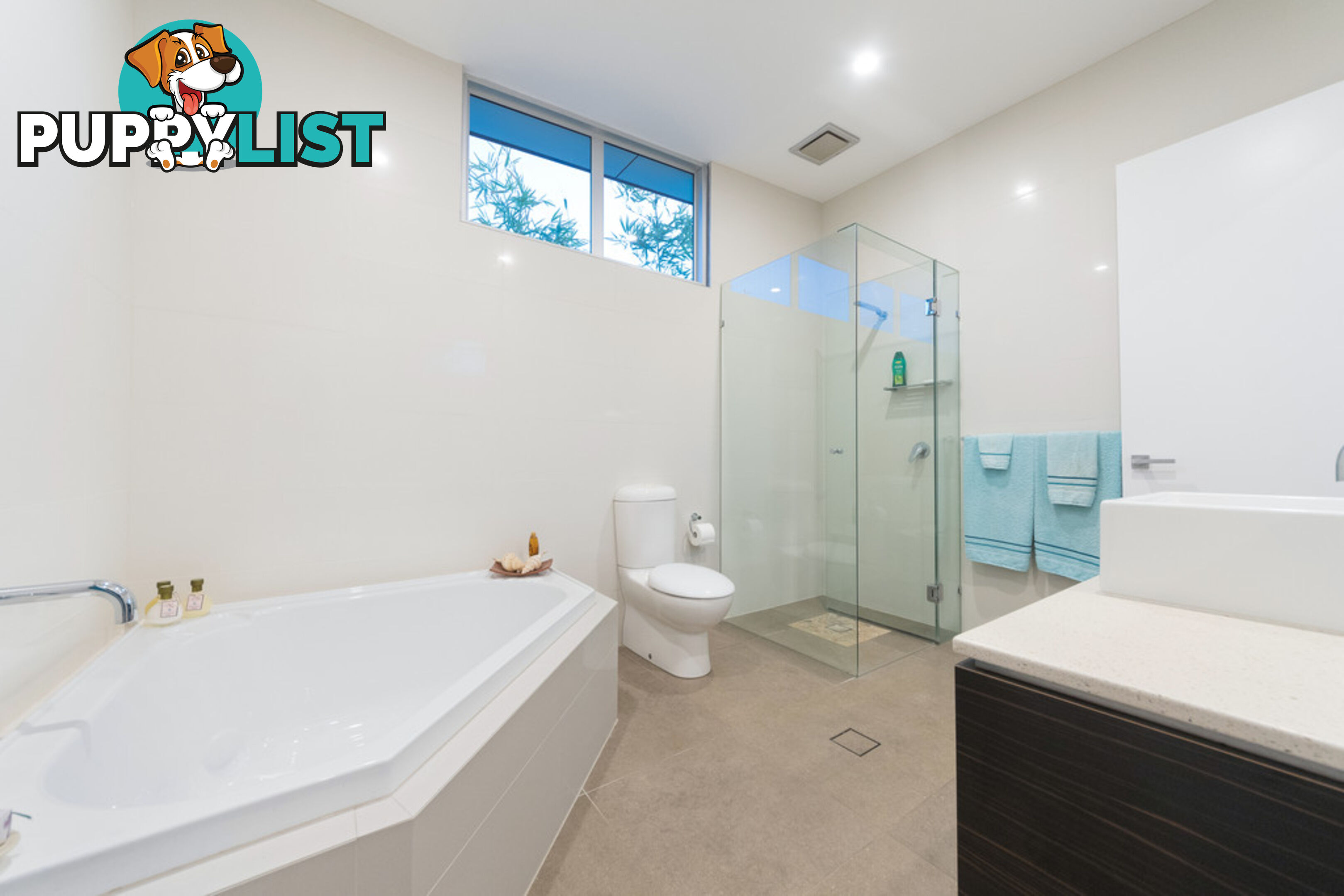 75 Campbell Street SORRENTO QLD 4217