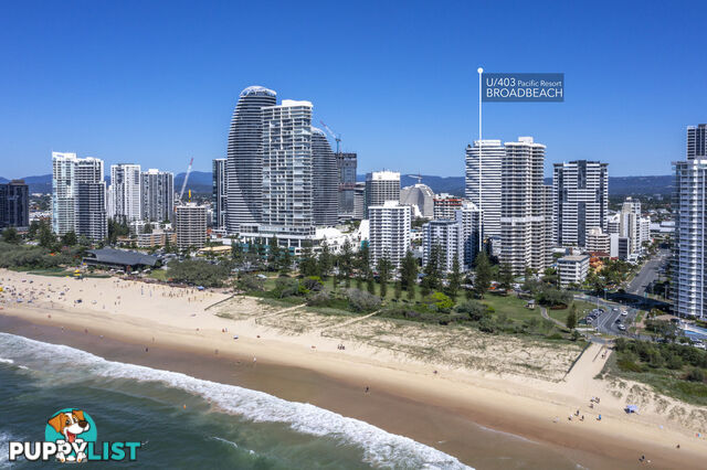 403/8 Albert Avenue BROADBEACH QLD 4218