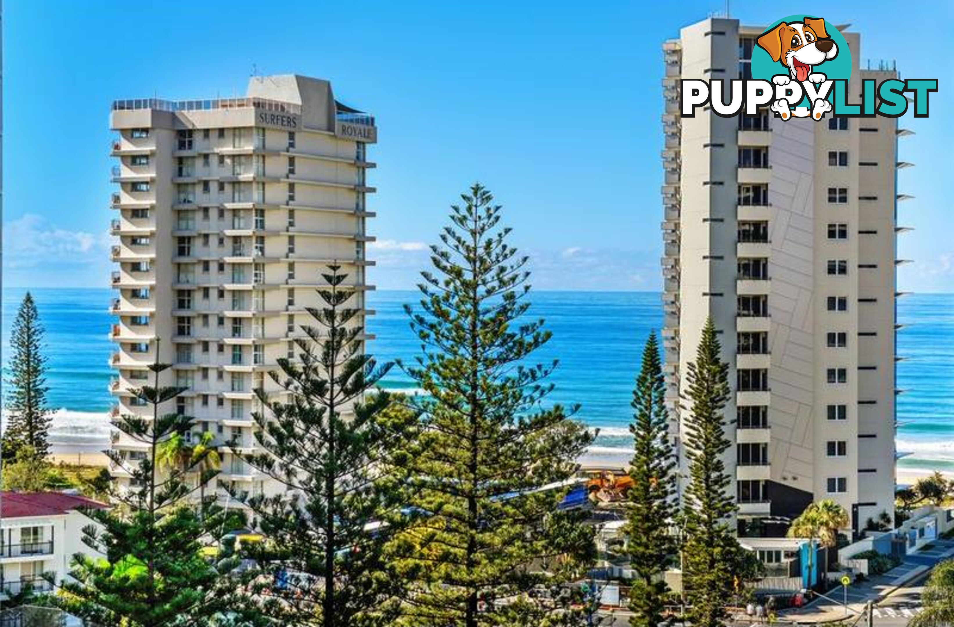 SURFERS PARADISE QLD 4217