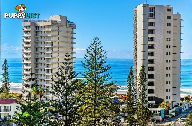 SURFERS PARADISE QLD 4217