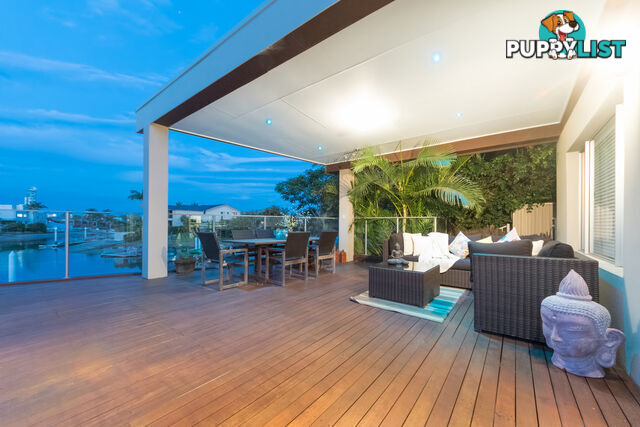 141 Campbell Street SORRENTO QLD 4217