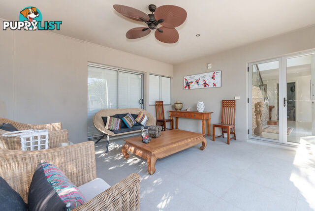 141 Campbell Street SORRENTO QLD 4217