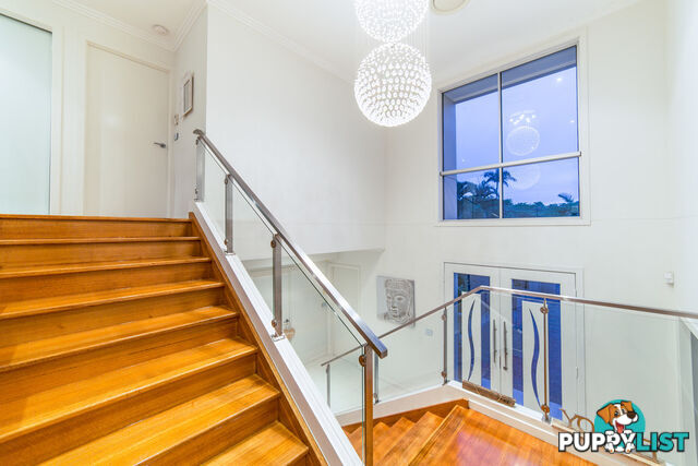 141 Campbell Street SORRENTO QLD 4217