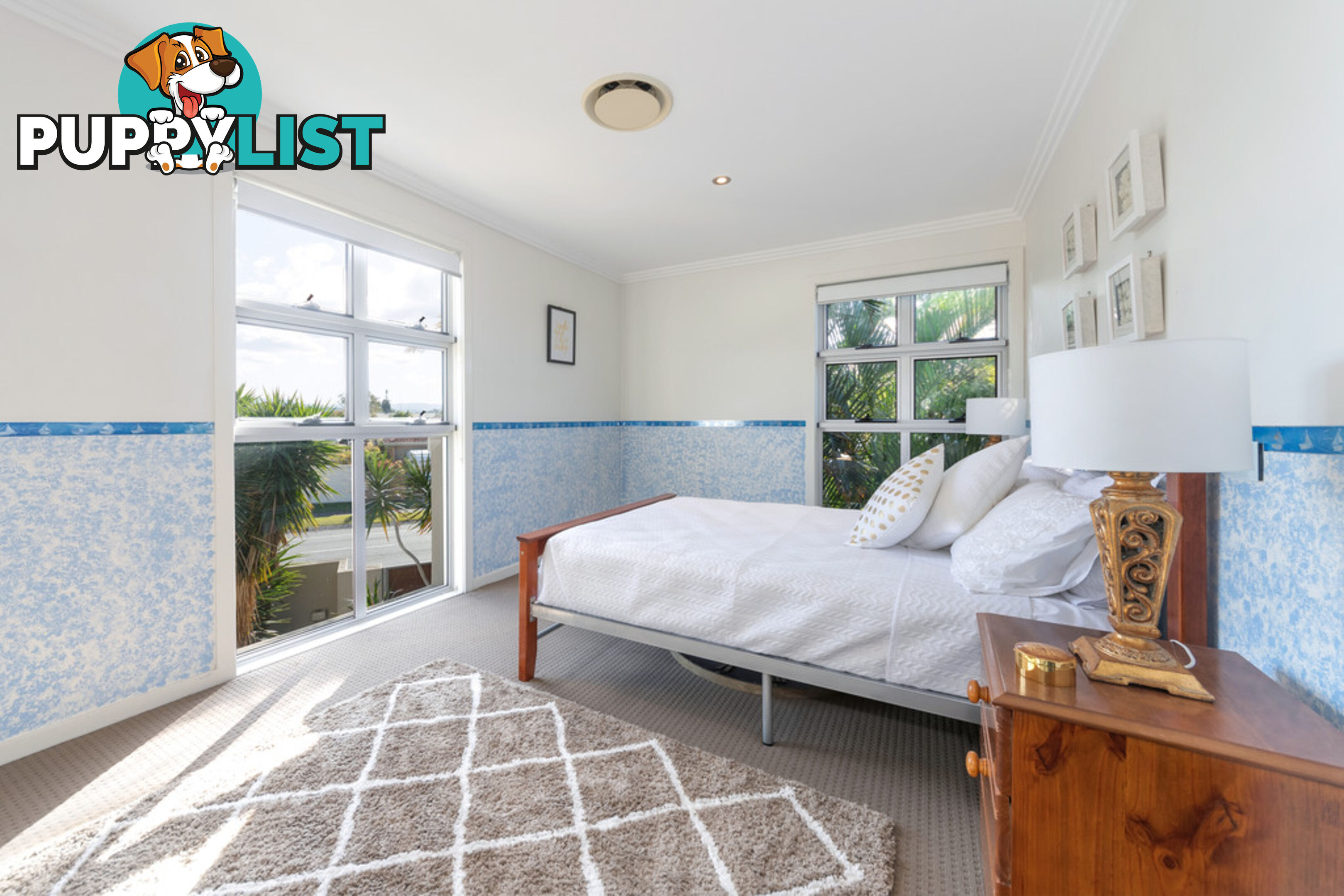 141 Campbell Street SORRENTO QLD 4217