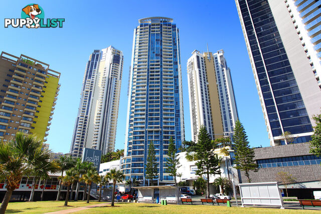 2131/23 'Chevron Renaissance' Ferny Ave SURFERS PARADISE QLD 4217