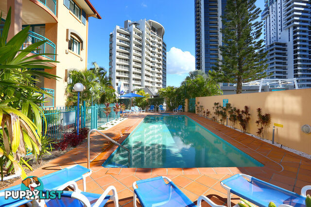 BROADBEACH QLD 4218