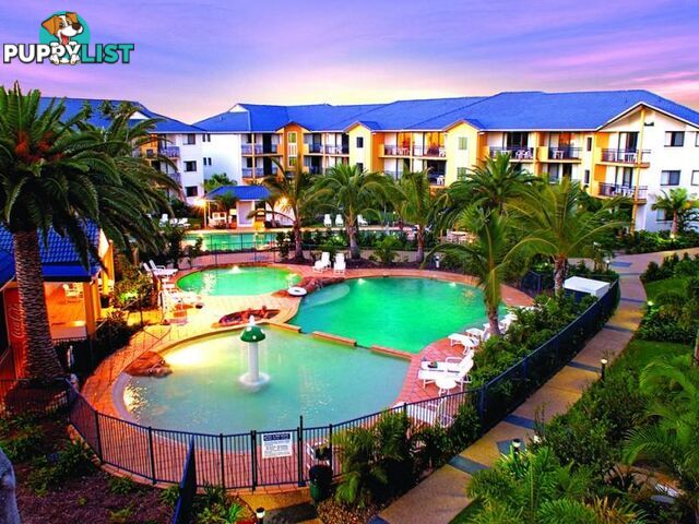 340 'Turtle Beach Resort' 2342 Gold Coast Highway MERMAID BEACH QLD 4218