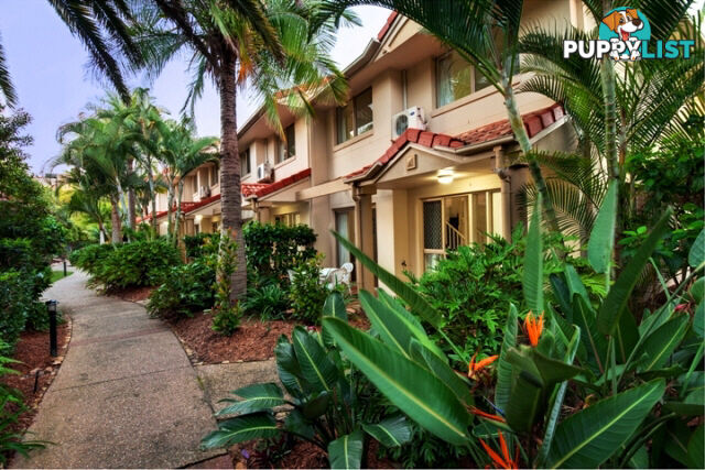 340 'Turtle Beach Resort' 2342 Gold Coast Highway MERMAID BEACH QLD 4218