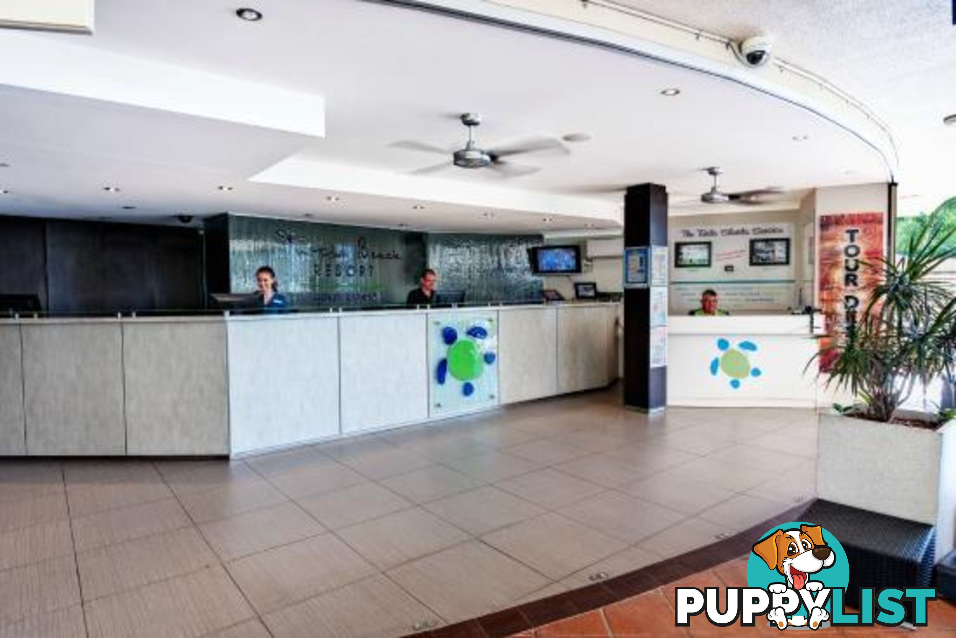 340 'Turtle Beach Resort' 2342 Gold Coast Highway MERMAID BEACH QLD 4218