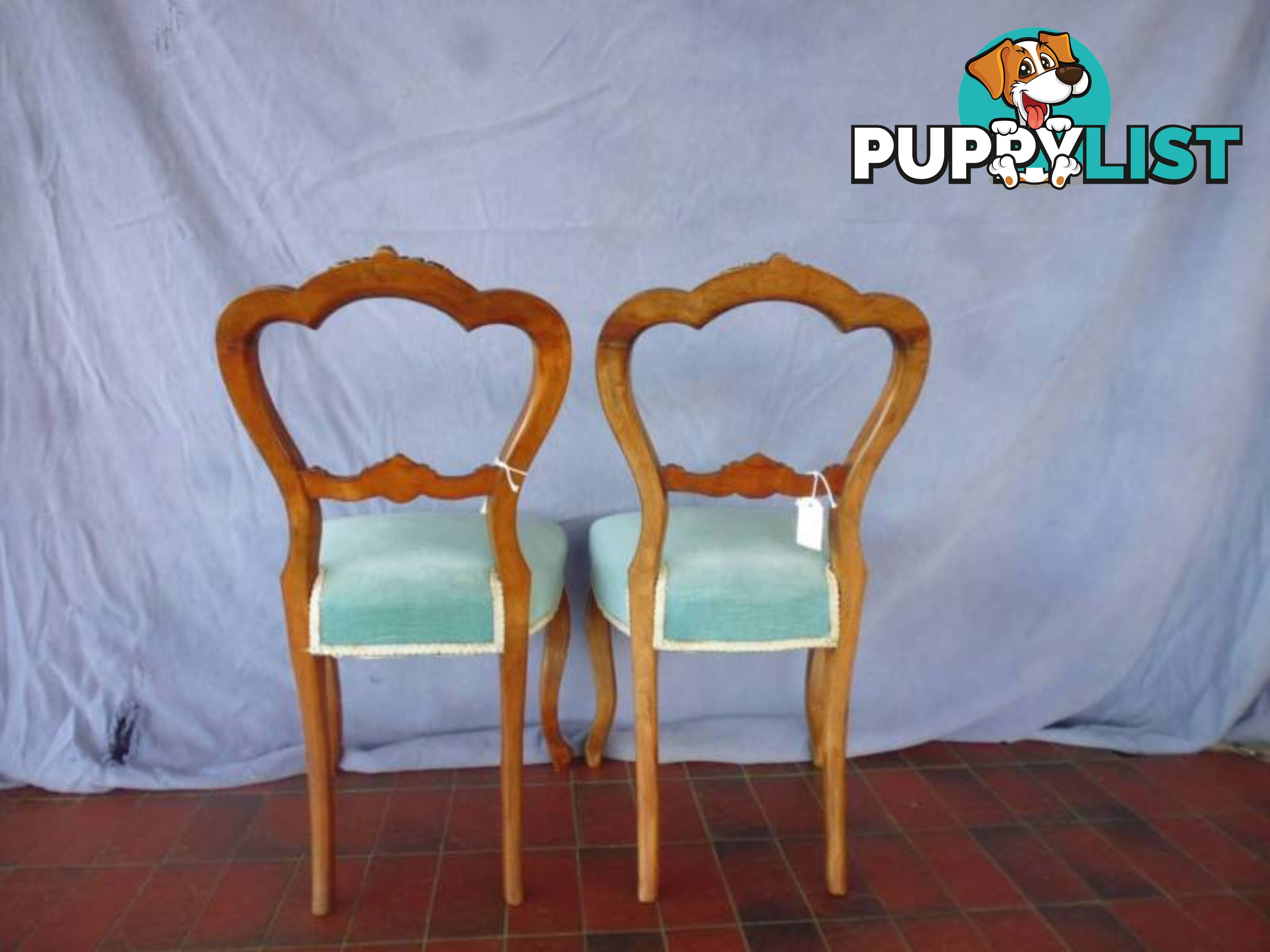 2 x Blue Victorian Chairs, 369964