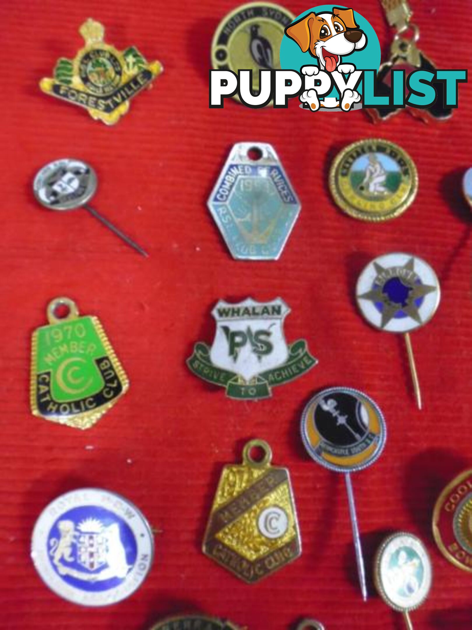 Bowling Club Pins and Emblems, 25