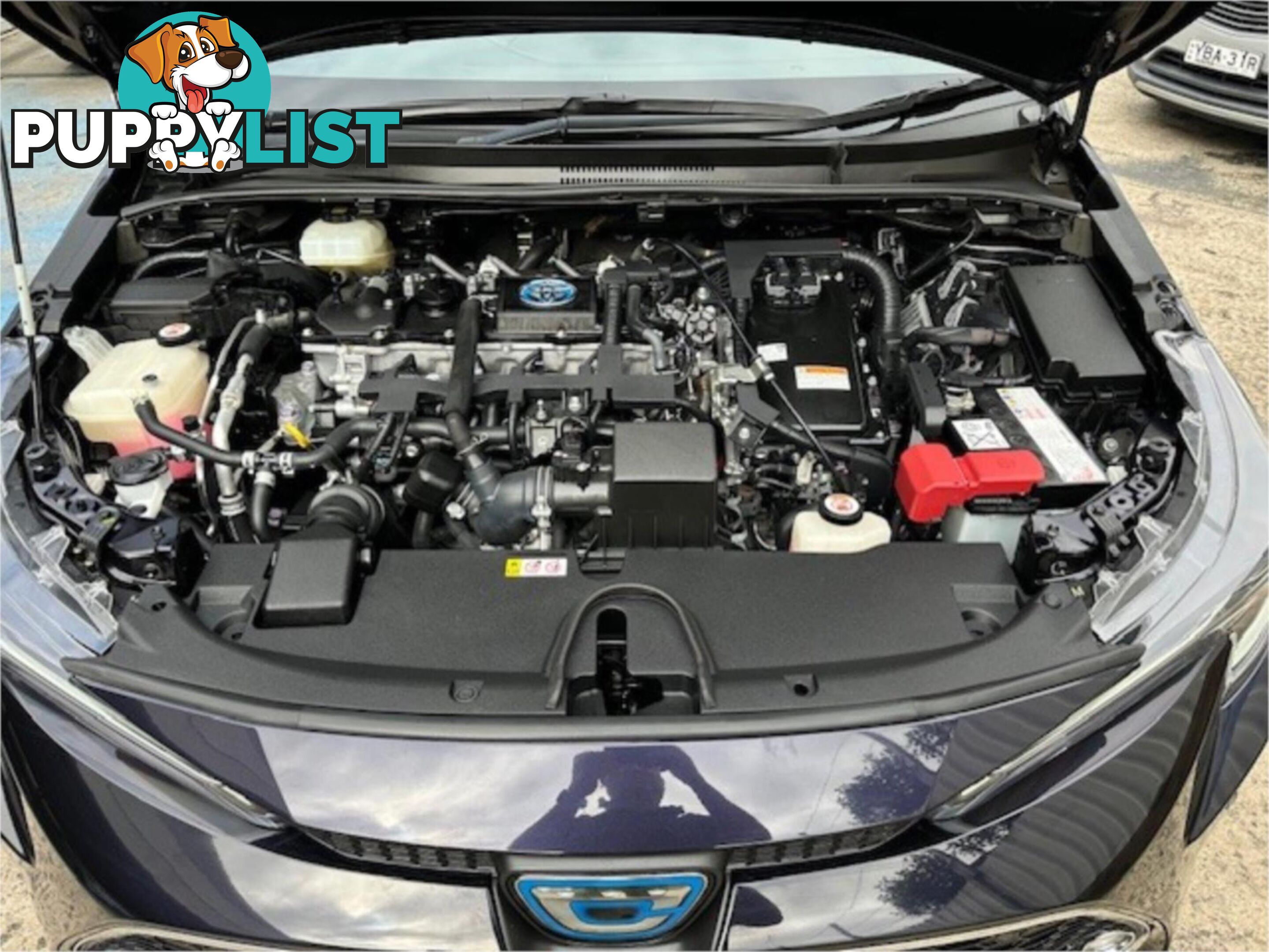 2019 TOYOTA COROLLA TOURING(HYBRID) ZWE211W 5D WAGON