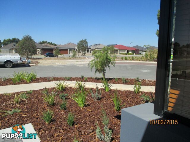 19 Lee-Steere Crescent PIARA WATERS WA 6112