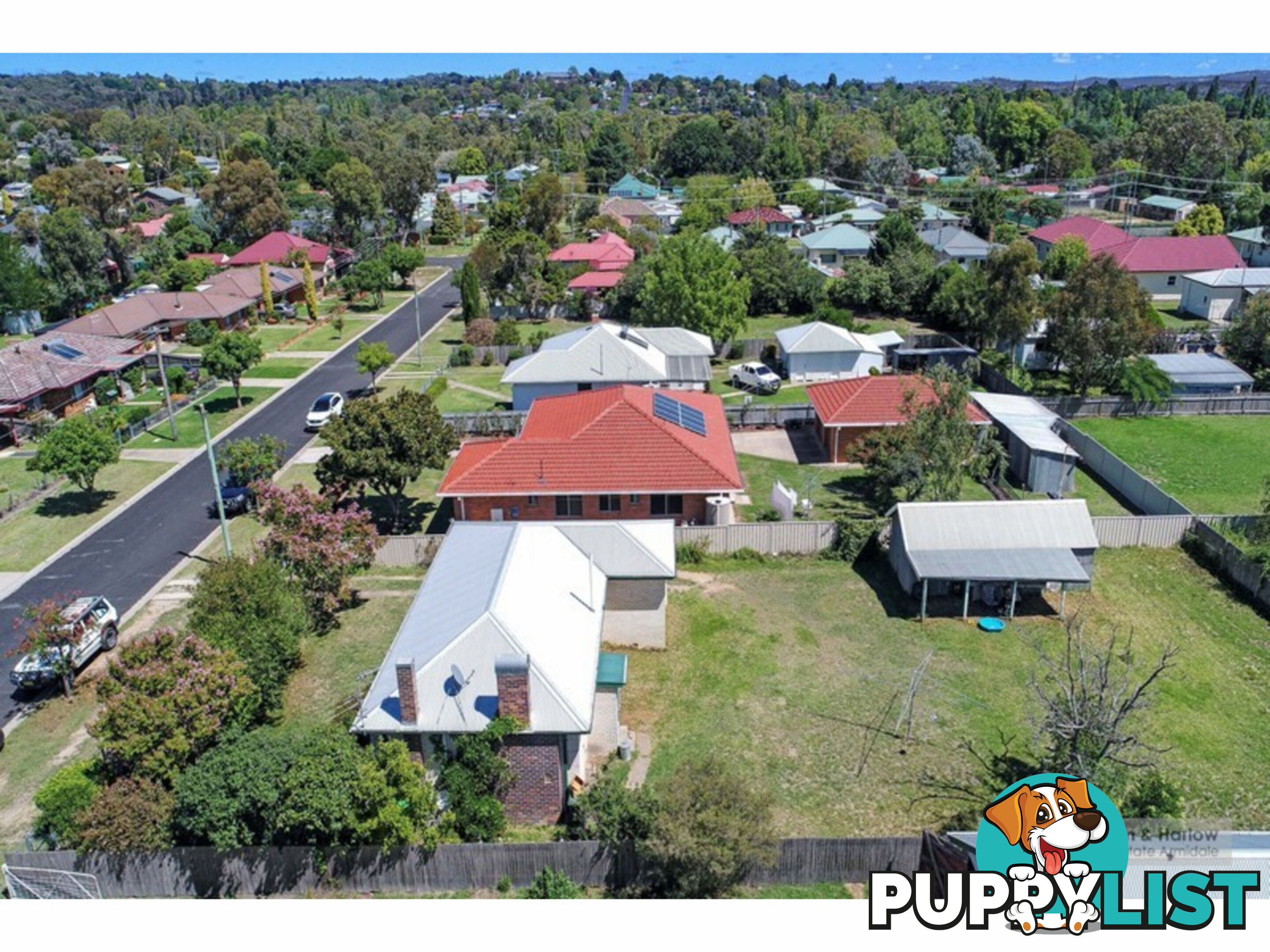 51 Mossman Street Armidale NSW 2350