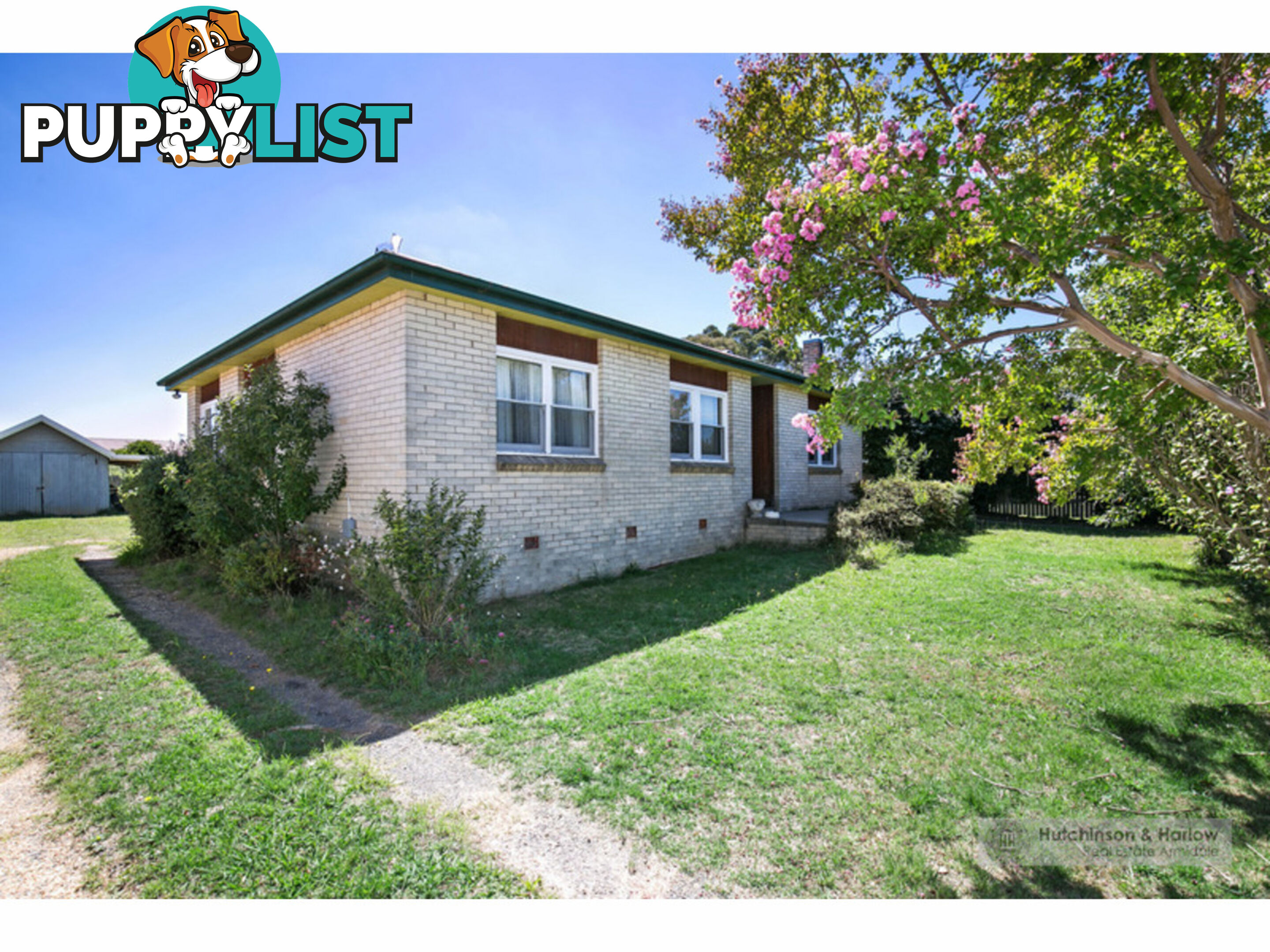 51 Mossman Street Armidale NSW 2350