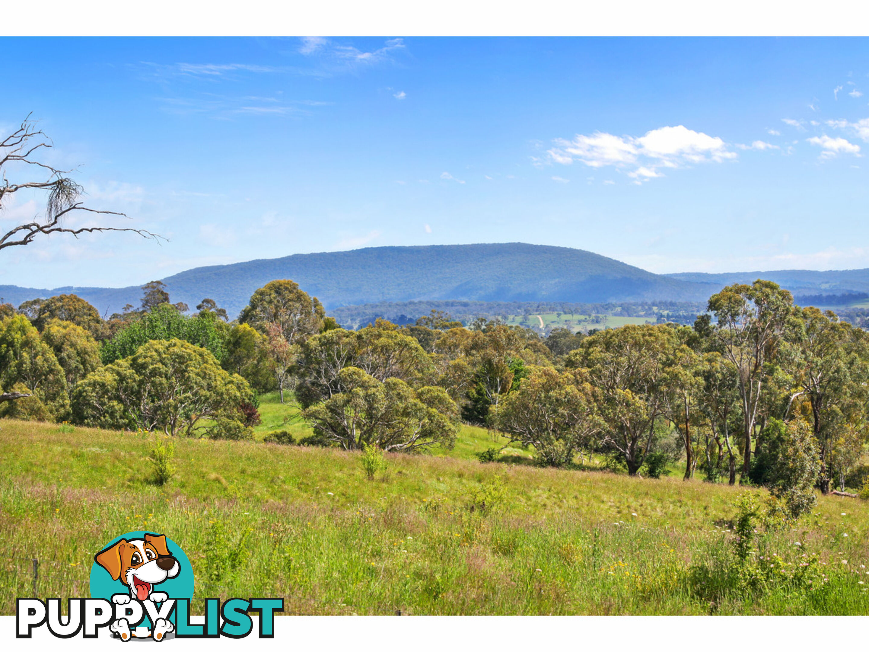 6B Wilara Cove Armidale NSW 2350