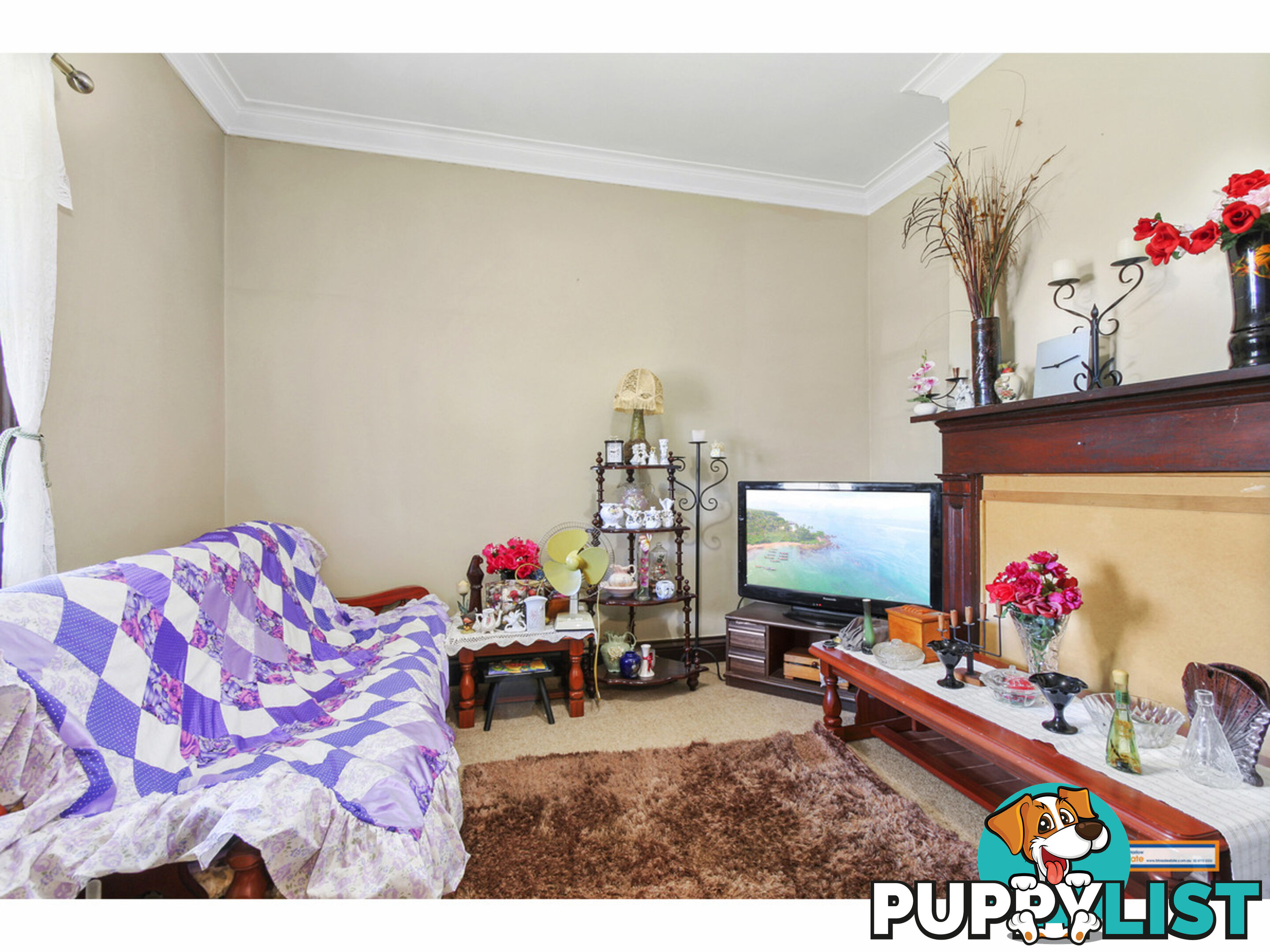 116 Niagara Street Armidale NSW 2350