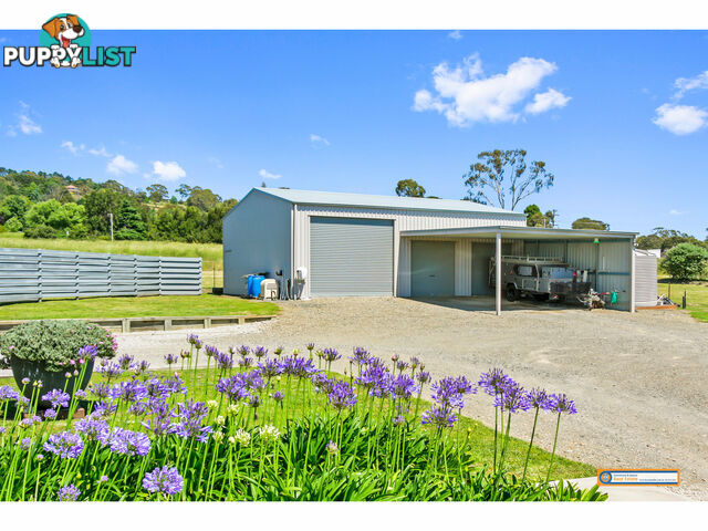 222 Dangarsleigh Road Armidale NSW 2350