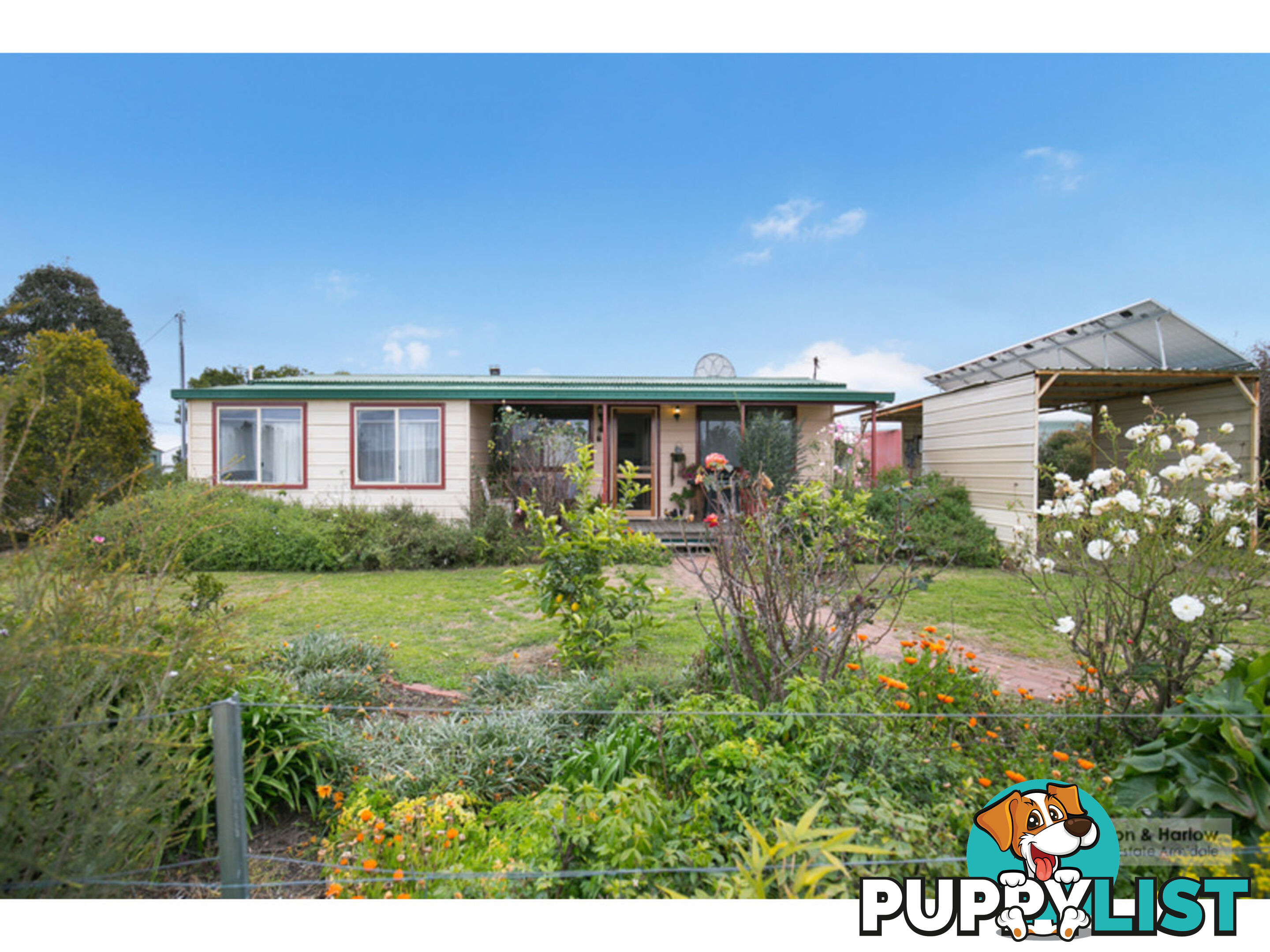 4 High Street Hillgrove NSW 2350