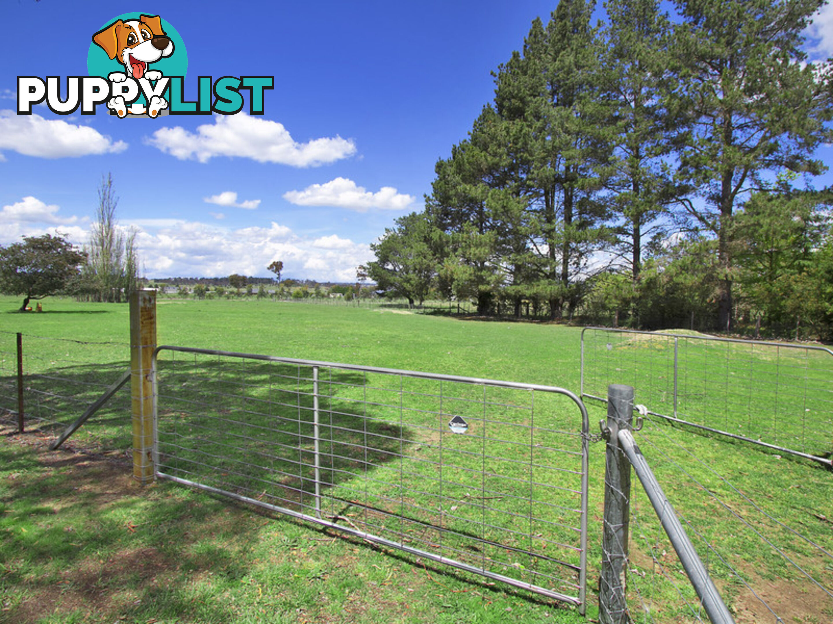 41 Pinegrove Road Armidale NSW 2350