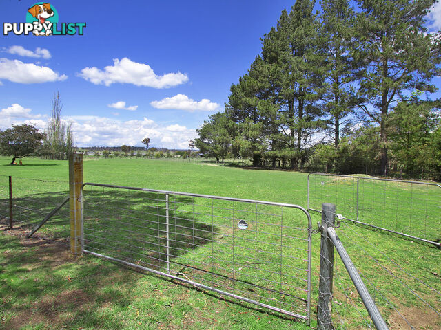 41 Pinegrove Road Armidale NSW 2350