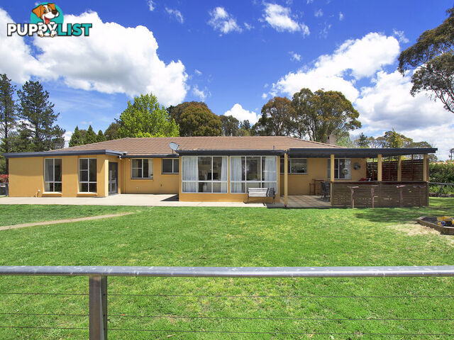 41 Pinegrove Road Armidale NSW 2350