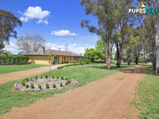 41 Pinegrove Road Armidale NSW 2350