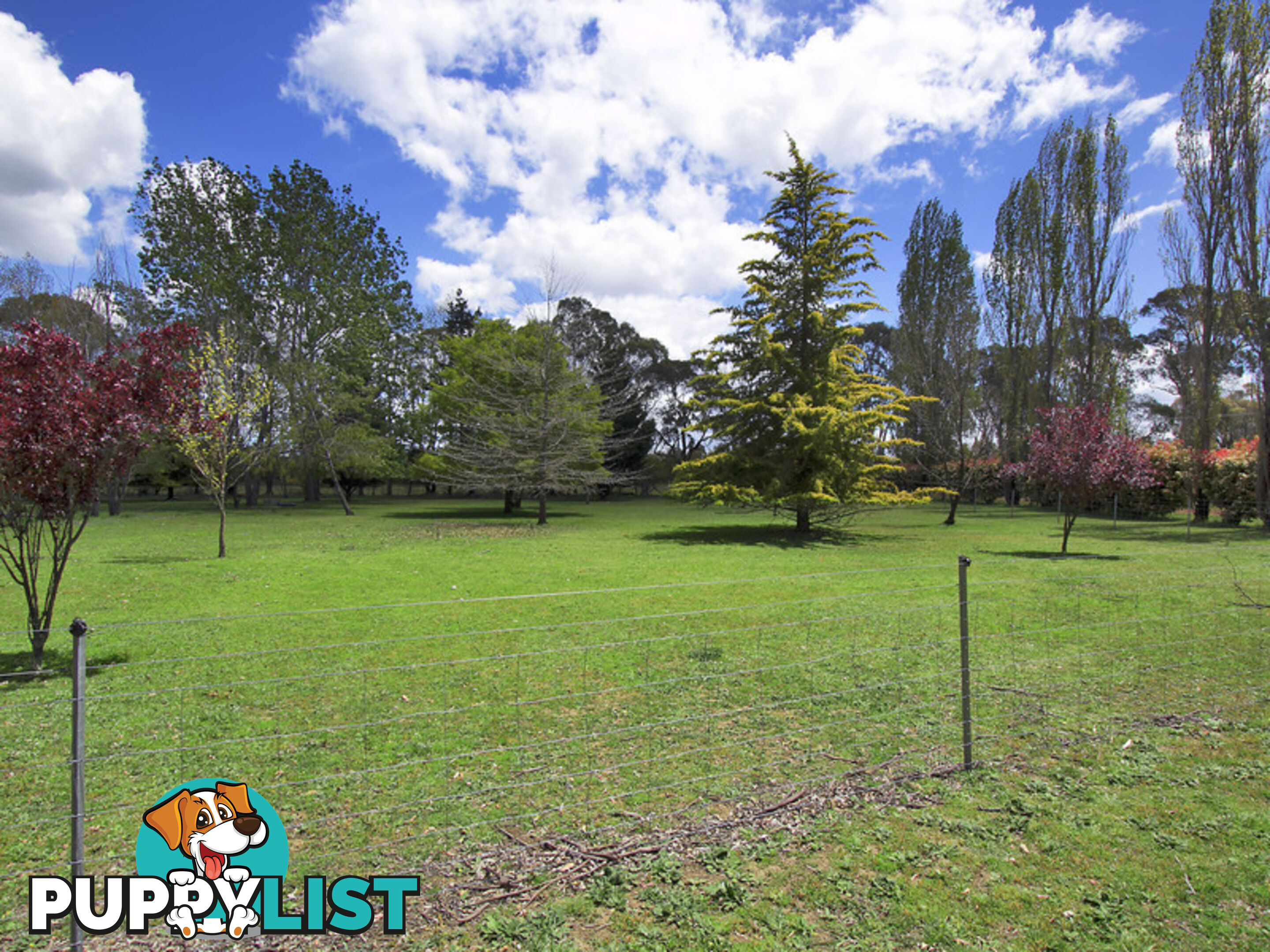 41 Pinegrove Road Armidale NSW 2350