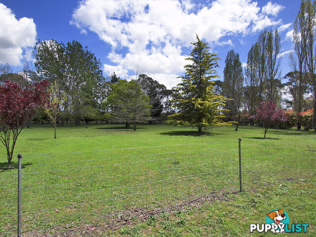 41 Pinegrove Road Armidale NSW 2350