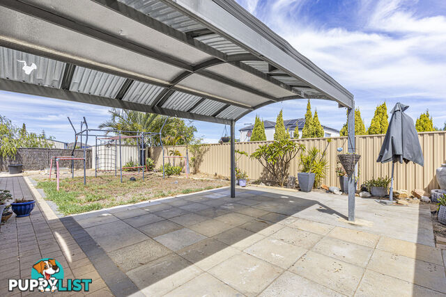 7 Thurleigh Approach BUTLER WA 6036